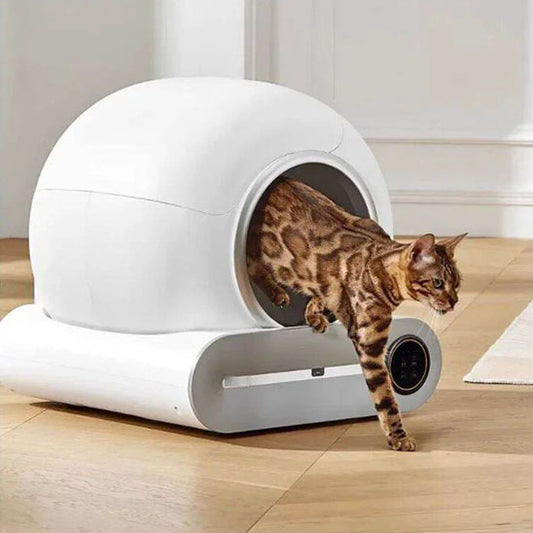 LitiBot - La Litière Automatique